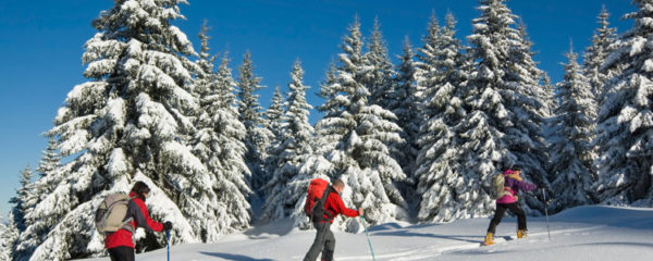 ski de randonnée